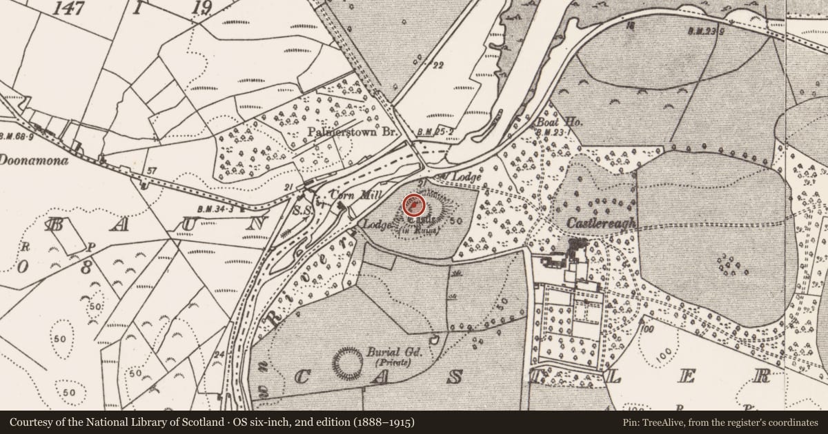 Ordnance Survey six-inch map, 2nd edition (1888–1915) covering the location of Cross - Wayside cross, Castlereagh, County Mayo, with a pin at the register's coordinates