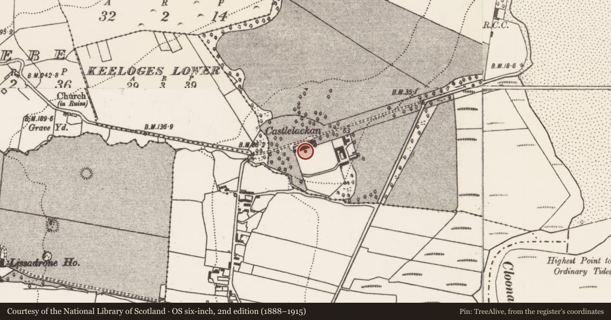 Ordnance Survey six-inch map, 2nd edition (1888–1915) covering the location of Castle - unclassified, Castlelackan Demesne, County Mayo, with a pin at the register's coordinates