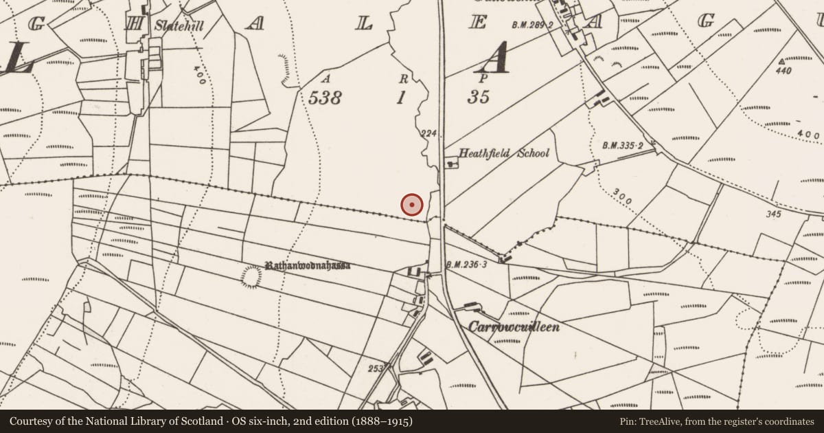 Ordnance Survey six-inch map, 2nd edition (1888–1915) covering the location of Ogham stone, Aghaleague, County Mayo, with a pin at the register's coordinates