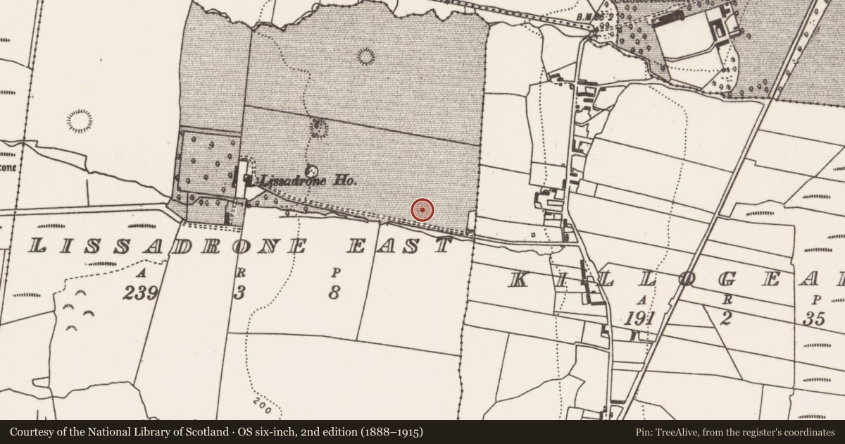 Ordnance Survey six-inch map, 2nd edition (1888–1915) covering the location of Megalithic structure, Lissadrone East, County Mayo, with a pin at the register's coordinates