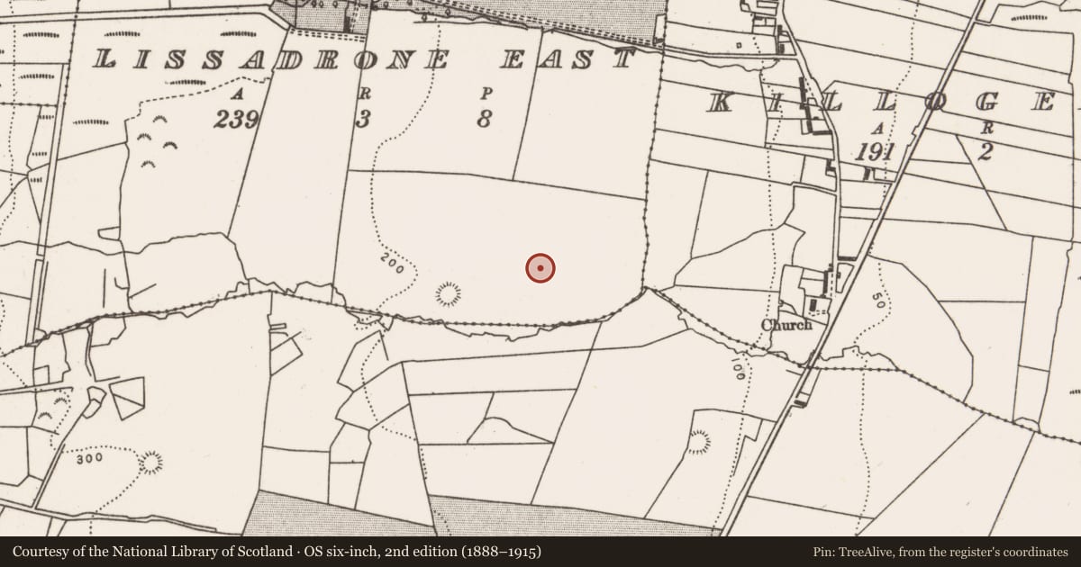 Ordnance Survey six-inch map, 2nd edition (1888–1915) covering the location of Children's burial ground, Lissadrone East, County Mayo, with a pin at the register's coordinates