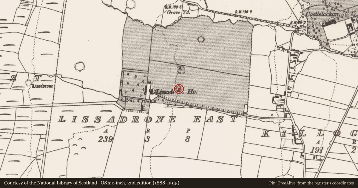 Ordnance Survey six-inch map, 2nd edition (1888–1915) covering the location of Designed landscape - tree-ring, Lissadrone East, County Mayo, with a pin at the register's coordinates