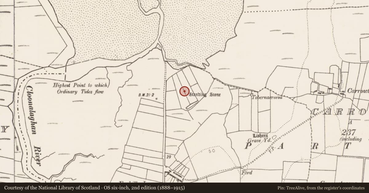Ordnance Survey six-inch map, 2nd edition (1888–1915) covering the location of Standing stone, Foghill, County Mayo, with a pin at the register's coordinates