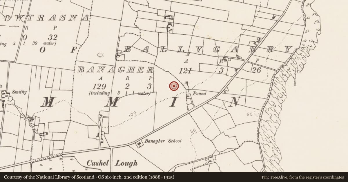 Ordnance Survey six-inch map, 2nd edition (1888–1915) covering the location of Ringfort - rath, Banagher, County Mayo, with a pin at the register's coordinates