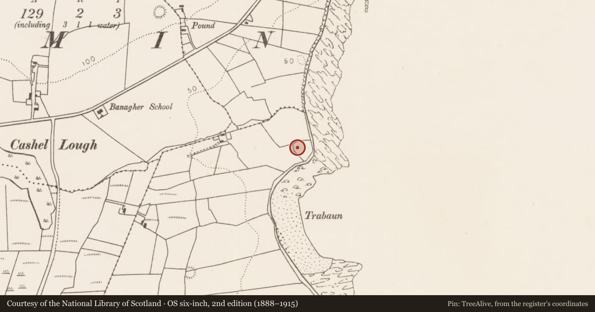 Ordnance Survey six-inch map, 2nd edition (1888–1915) covering the location of Ringfort - rath, Castlenageeha, County Mayo, with a pin at the register's coordinates