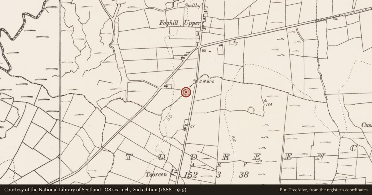 Ordnance Survey six-inch map, 2nd edition (1888–1915) covering the location of Ringfort - rath, Tooreen (Tirawley By., Templemore Par.), County Mayo, with a pin at the register's coordinates