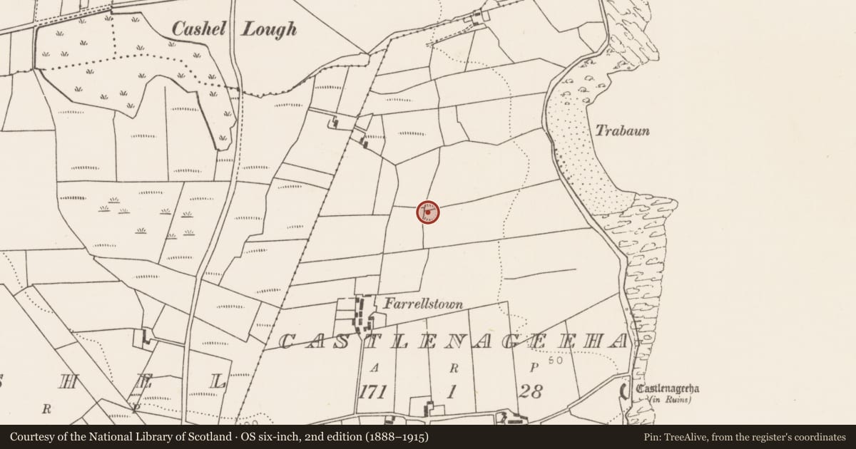 Ordnance Survey six-inch map, 2nd edition (1888–1915) covering the location of Ringfort - rath, Castlenageeha, County Mayo, with a pin at the register's coordinates