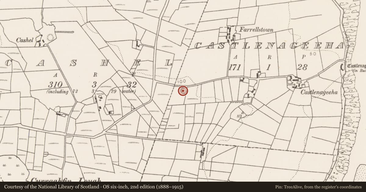 Ordnance Survey six-inch map, 2nd edition (1888–1915) covering the location of Ringfort - rath, Castlenageeha, County Mayo, with a pin at the register's coordinates