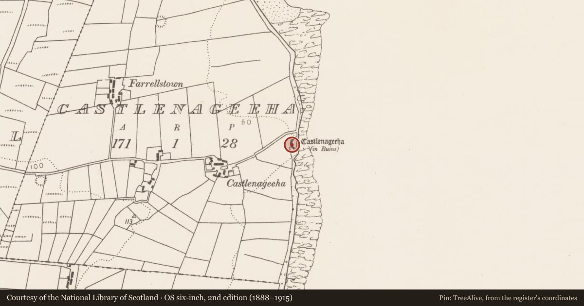 Ordnance Survey six-inch map, 2nd edition (1888–1915) covering the location of Castle - unclassified, Castlenageeha, County Mayo, with a pin at the register's coordinates