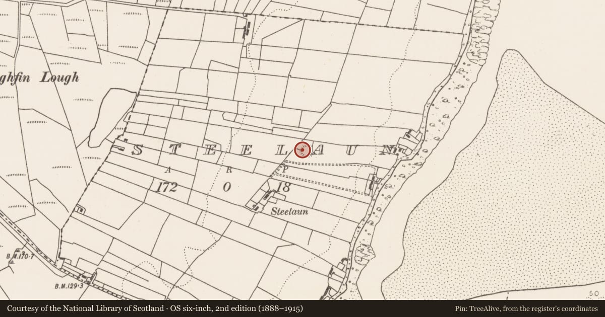 Ordnance Survey six-inch map, 2nd edition (1888–1915) covering the location of Ringfort - unclassified, Steelaun, County Mayo, with a pin at the register's coordinates