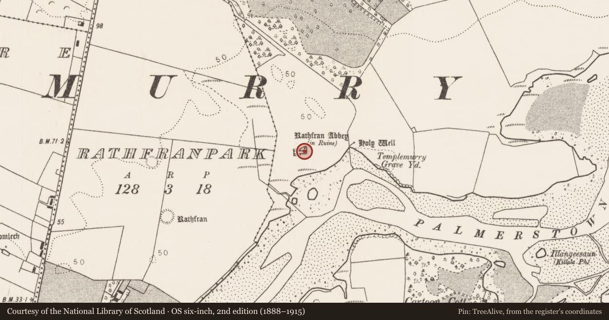 Ordnance Survey six-inch map, 2nd edition (1888–1915) covering the location of Graveslab, Rathfran, County Mayo, with a pin at the register's coordinates