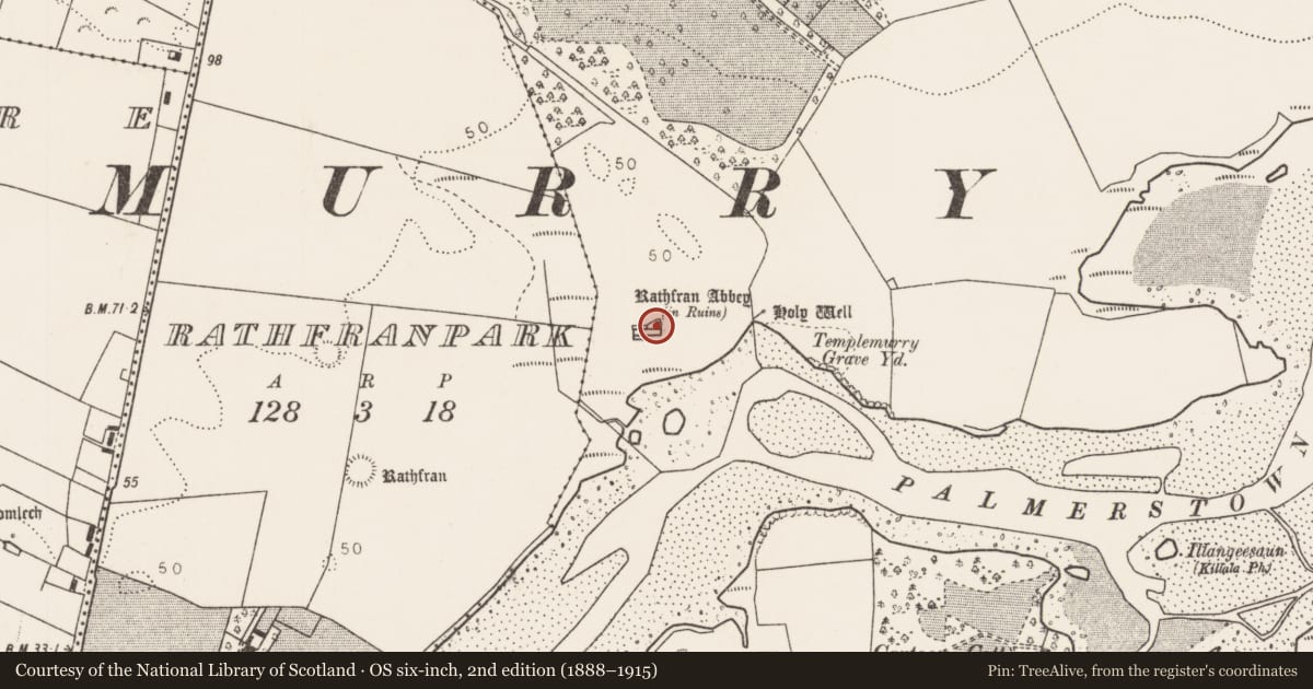 Ordnance Survey six-inch map, 2nd edition (1888–1915) covering the location of Graveslab, Rathfran, County Mayo, with a pin at the register's coordinates