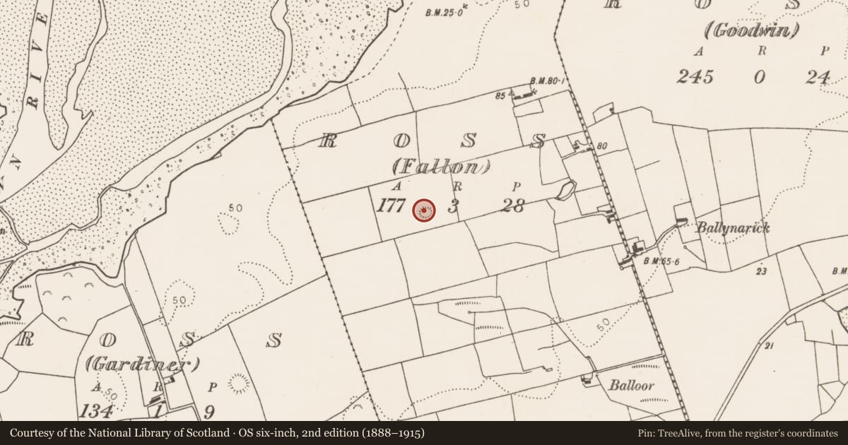 Ordnance Survey six-inch map, 2nd edition (1888–1915) covering the location of Ringfort - rath, Ross (Fallon), County Mayo, with a pin at the register's coordinates