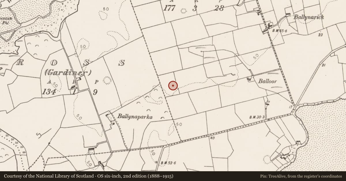 Ordnance Survey six-inch map, 2nd edition (1888–1915) covering the location of Barrow - ring-barrow, Ross (Fallon), County Mayo, with a pin at the register's coordinates