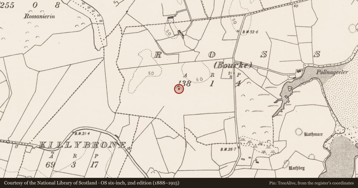 Ordnance Survey six-inch map, 2nd edition (1888–1915) covering the location of Ringfort - rath, Ross (Bourke), County Mayo, with a pin at the register's coordinates