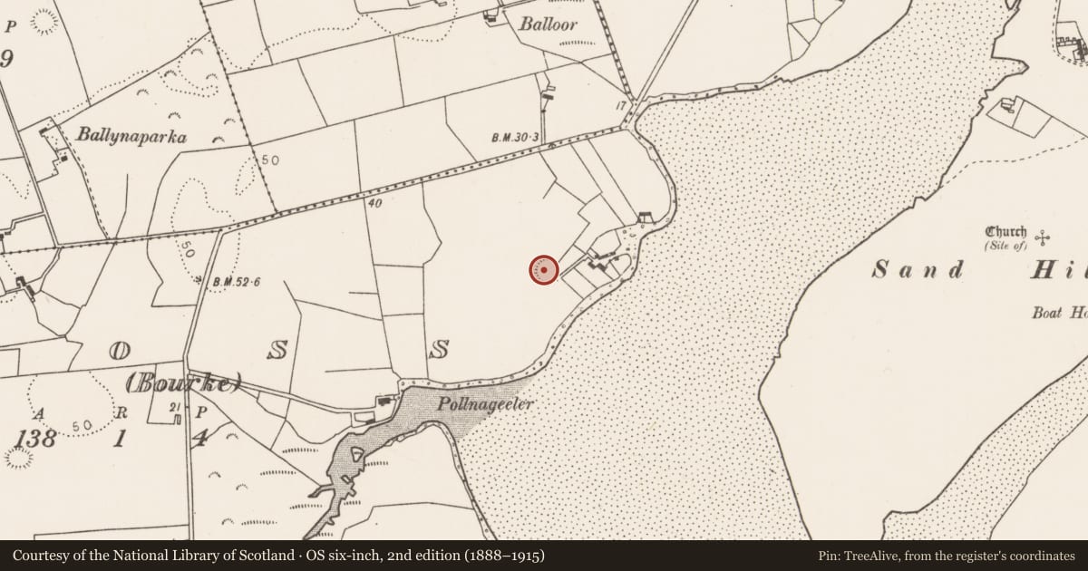 Ordnance Survey six-inch map, 2nd edition (1888–1915) covering the location of Ringfort - rath, Ross (Bourke), County Mayo, with a pin at the register's coordinates