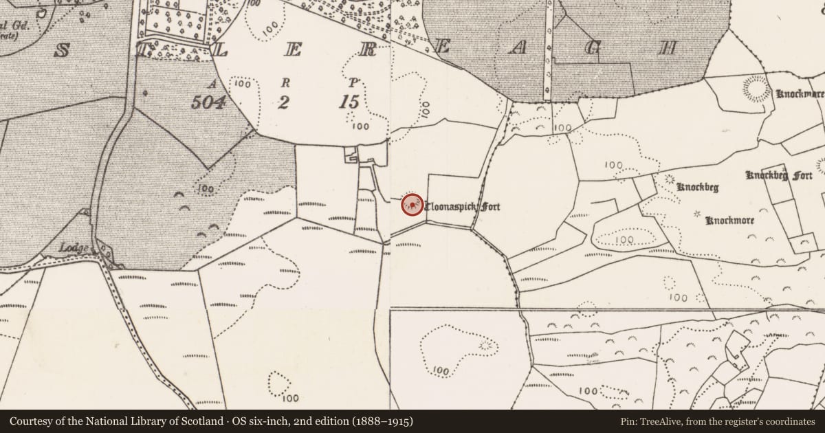 Ordnance Survey six-inch map, 2nd edition (1888–1915) covering the location of Ringfort - rath, Castlereagh, County Mayo, with a pin at the register's coordinates