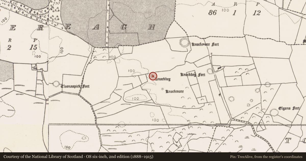 Ordnance Survey six-inch map, 2nd edition (1888–1915) covering the location of Enclosure, Townplots West, County Mayo, with a pin at the register's coordinates