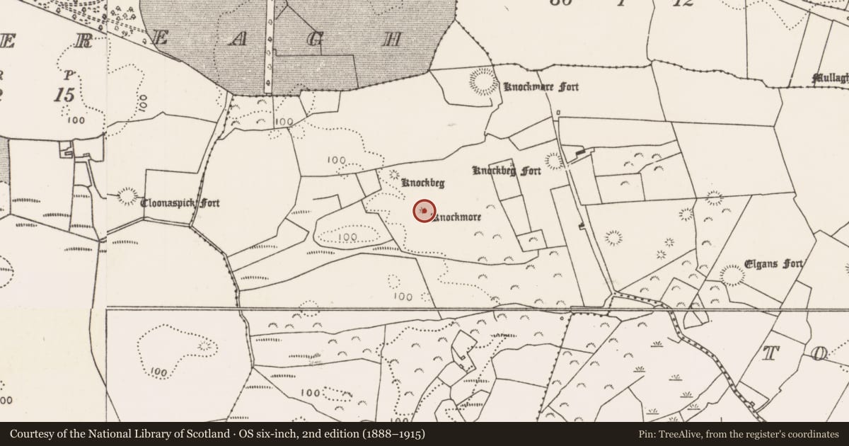 Ordnance Survey six-inch map, 2nd edition (1888–1915) covering the location of Enclosure, Townplots West, County Mayo, with a pin at the register's coordinates
