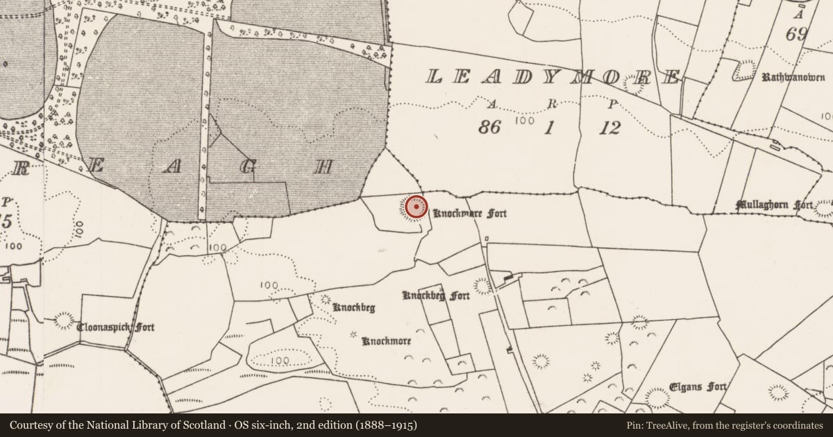 Ordnance Survey six-inch map, 2nd edition (1888–1915) covering the location of Ringfort - rath, Townplots West, County Mayo, with a pin at the register's coordinates