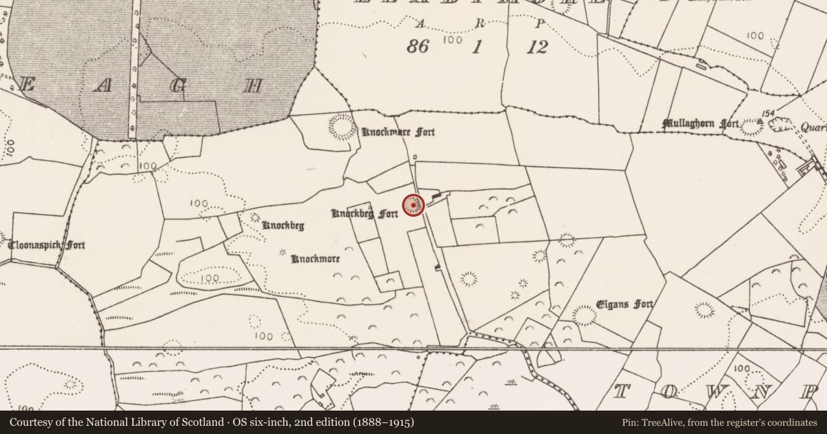 Ordnance Survey six-inch map, 2nd edition (1888–1915) covering the location of Ringfort - rath, Townplots West, County Mayo, with a pin at the register's coordinates