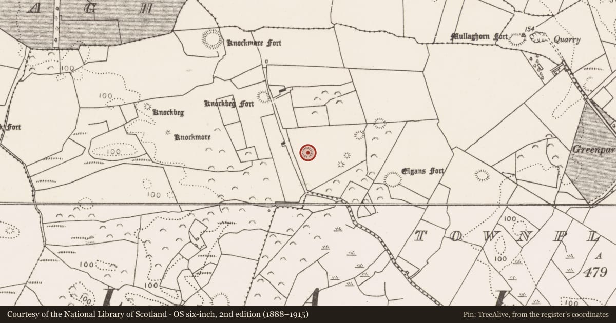 Ordnance Survey six-inch map, 2nd edition (1888–1915) covering the location of Ringfort - rath, Townplots West, County Mayo, with a pin at the register's coordinates