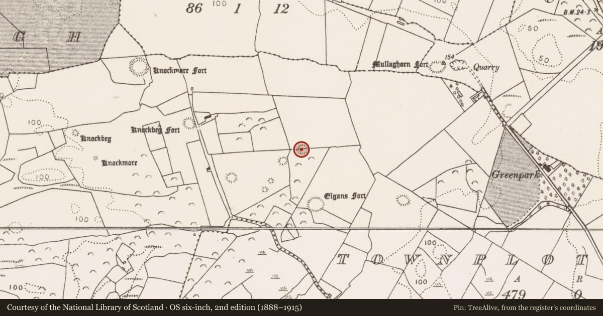 Ordnance Survey six-inch map, 2nd edition (1888–1915) covering the location of Enclosure, Townplots West, County Mayo, with a pin at the register's coordinates