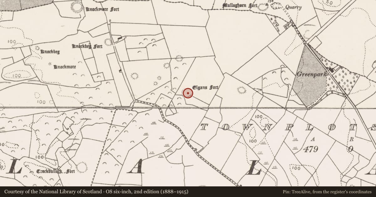 Ordnance Survey six-inch map, 2nd edition (1888–1915) covering the location of Ringfort - rath, Townplots West, County Mayo, with a pin at the register's coordinates