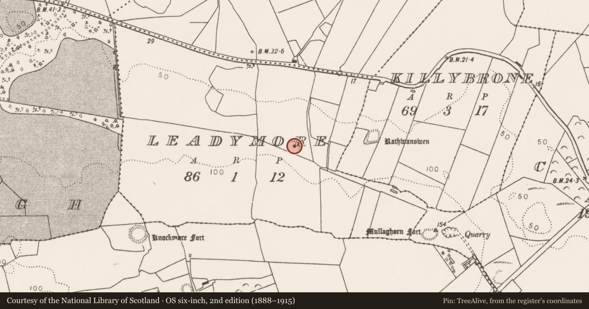 Ordnance Survey six-inch map, 2nd edition (1888–1915) covering the location of Ringfort - rath, Leadymore, County Mayo, with a pin at the register's coordinates