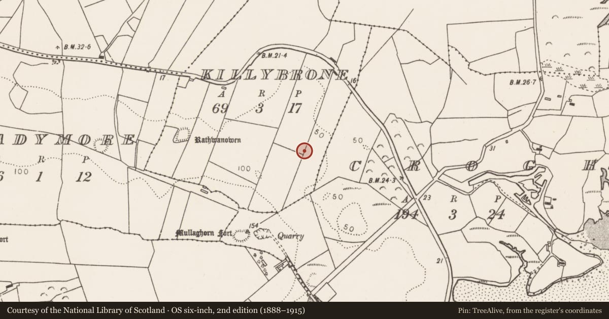 Ordnance Survey six-inch map, 2nd edition (1888–1915) covering the location of Enclosure, Killybrone, County Mayo, with a pin at the register's coordinates