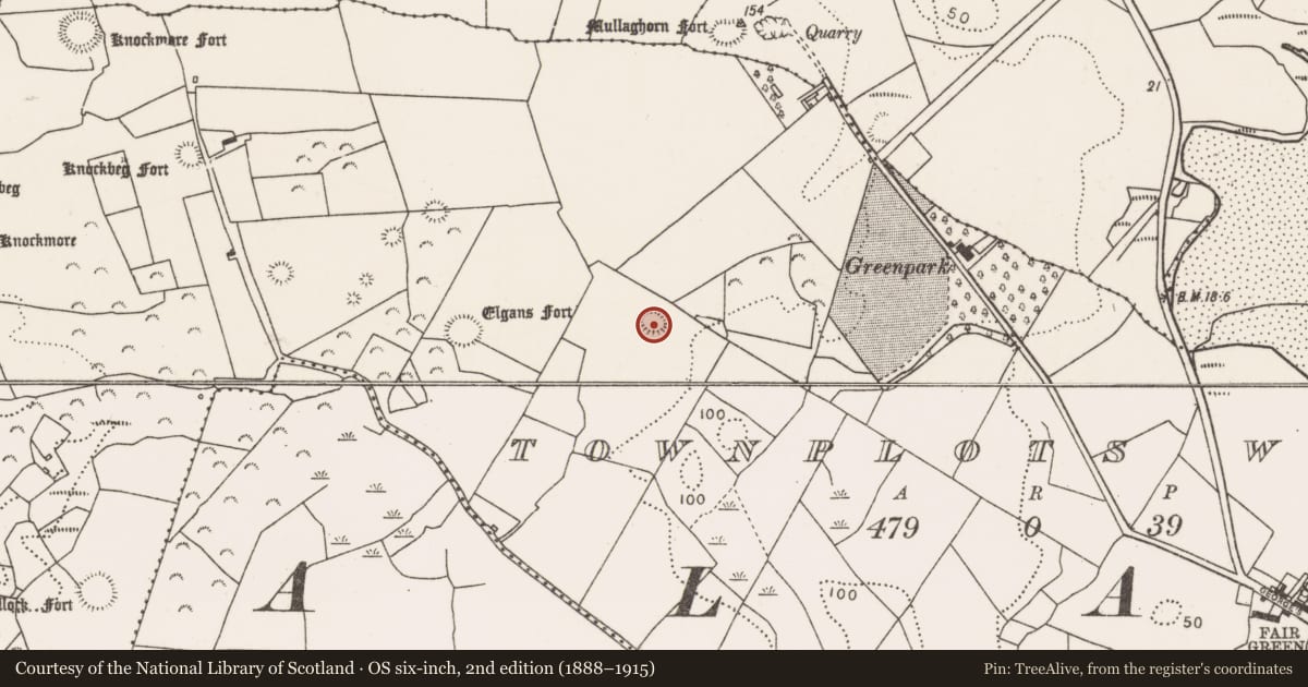 Ordnance Survey six-inch map, 2nd edition (1888–1915) covering the location of Ringfort - rath, Townplots West, County Mayo, with a pin at the register's coordinates