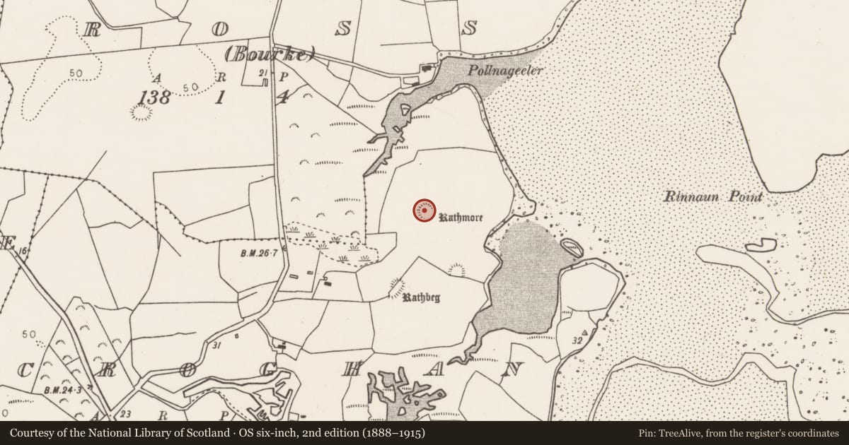 Ordnance Survey six-inch map, 2nd edition (1888–1915) covering the location of Ringfort - rath, Croghan, County Mayo, with a pin at the register's coordinates
