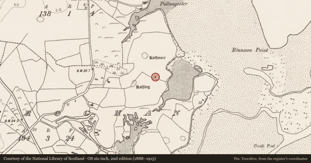 Ordnance Survey six-inch map, 2nd edition (1888–1915) covering the location of Ringfort - rath, Croghan, County Mayo, with a pin at the register's coordinates