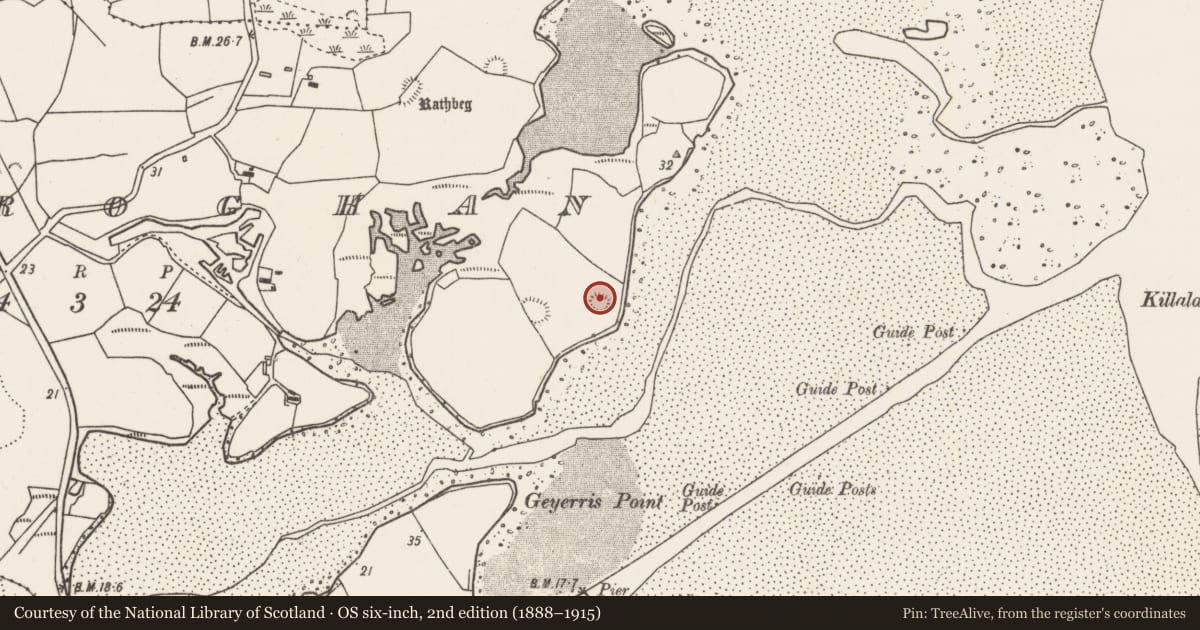 Ordnance Survey six-inch map, 2nd edition (1888–1915) covering the location of Ringfort - rath, Croghan, County Mayo, with a pin at the register's coordinates