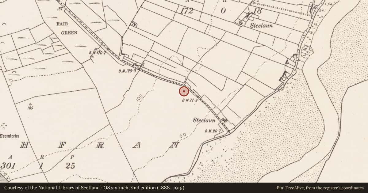 Ordnance Survey six-inch map, 2nd edition (1888–1915) covering the location of Ringfort - unclassified, Rathfran, County Mayo, with a pin at the register's coordinates