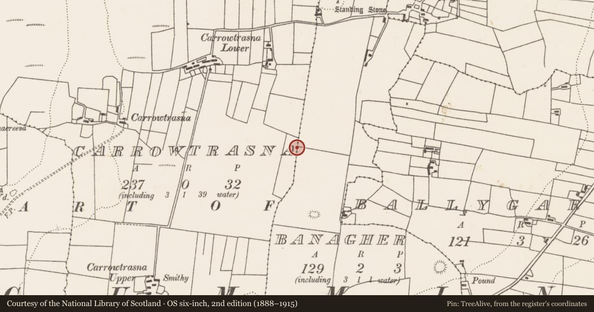Ordnance Survey six-inch map, 2nd edition (1888–1915) covering the location of Ringfort - rath, Banagher, Carrowtrasna, County Mayo, with a pin at the register's coordinates
