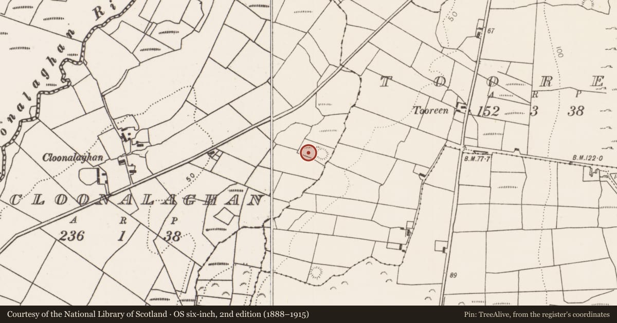 Ordnance Survey six-inch map, 2nd edition (1888–1915) covering the location of Burnt mound, Cloonalaghan, County Mayo, with a pin at the register's coordinates