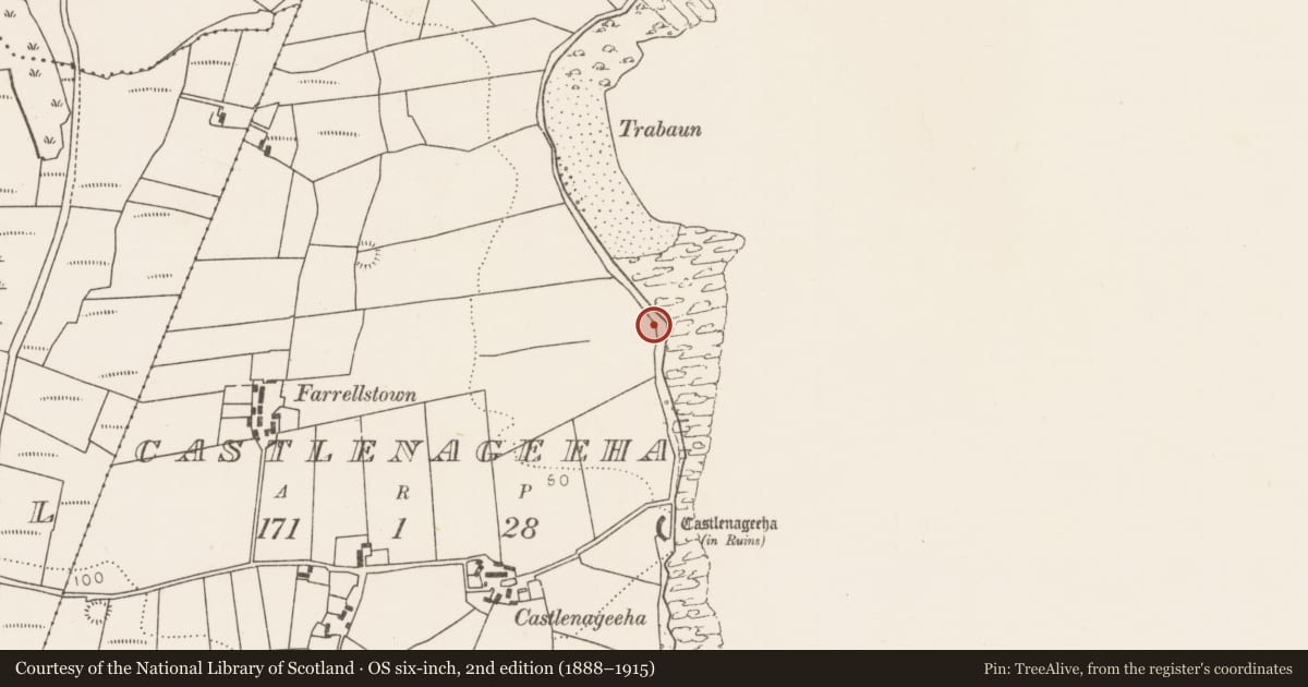 Ordnance Survey six-inch map, 2nd edition (1888–1915) covering the location of Burial, Castlenageeha, County Mayo, with a pin at the register's coordinates