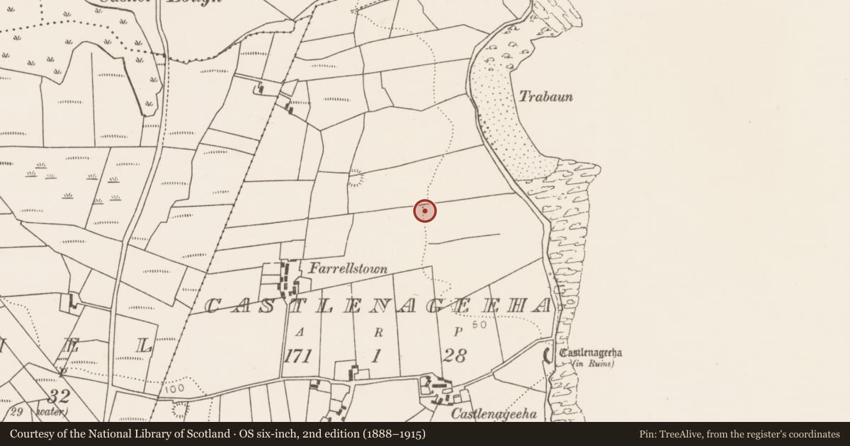 Ordnance Survey six-inch map, 2nd edition (1888–1915) covering the location of Enclosure, Castlenageeha, County Mayo, with a pin at the register's coordinates
