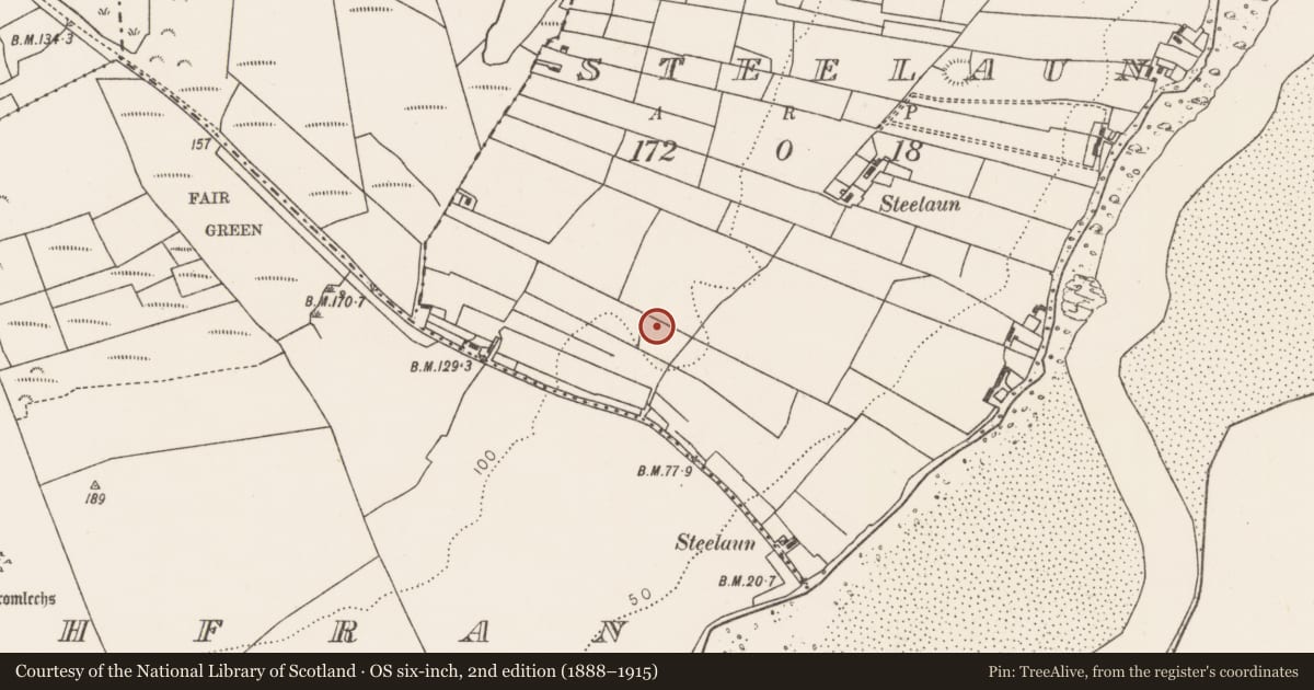 Ordnance Survey six-inch map, 2nd edition (1888–1915) covering the location of Enclosure, Steelaun, County Mayo, with a pin at the register's coordinates