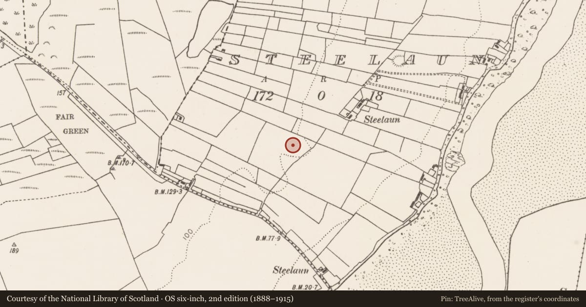 Ordnance Survey six-inch map, 2nd edition (1888–1915) covering the location of Earthwork, Steelaun, County Mayo, with a pin at the register's coordinates