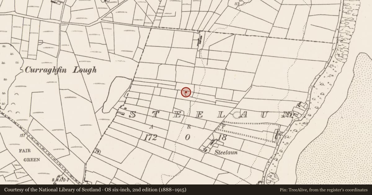 Ordnance Survey six-inch map, 2nd edition (1888–1915) covering the location of Enclosure, Steelaun, County Mayo, with a pin at the register's coordinates