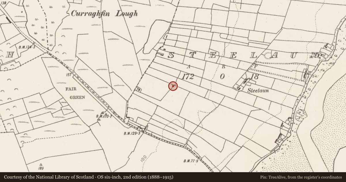 Ordnance Survey six-inch map, 2nd edition (1888–1915) covering the location of Burnt mound, Steelaun, County Mayo, with a pin at the register's coordinates