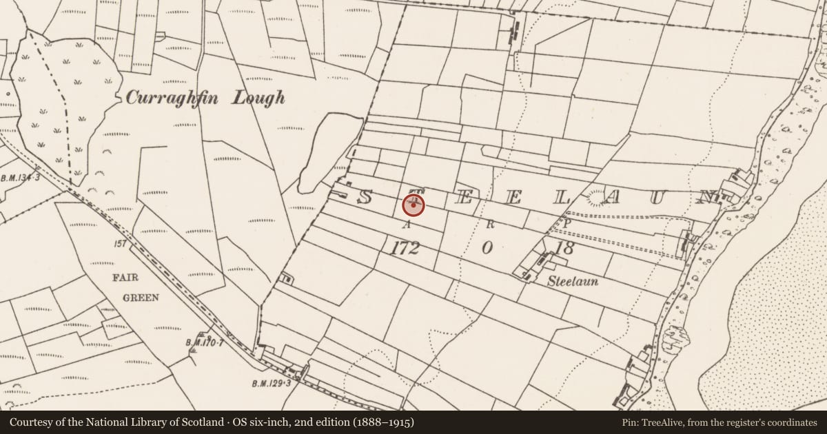 Ordnance Survey six-inch map, 2nd edition (1888–1915) covering the location of Fulacht fia, Steelaun, County Mayo, with a pin at the register's coordinates
