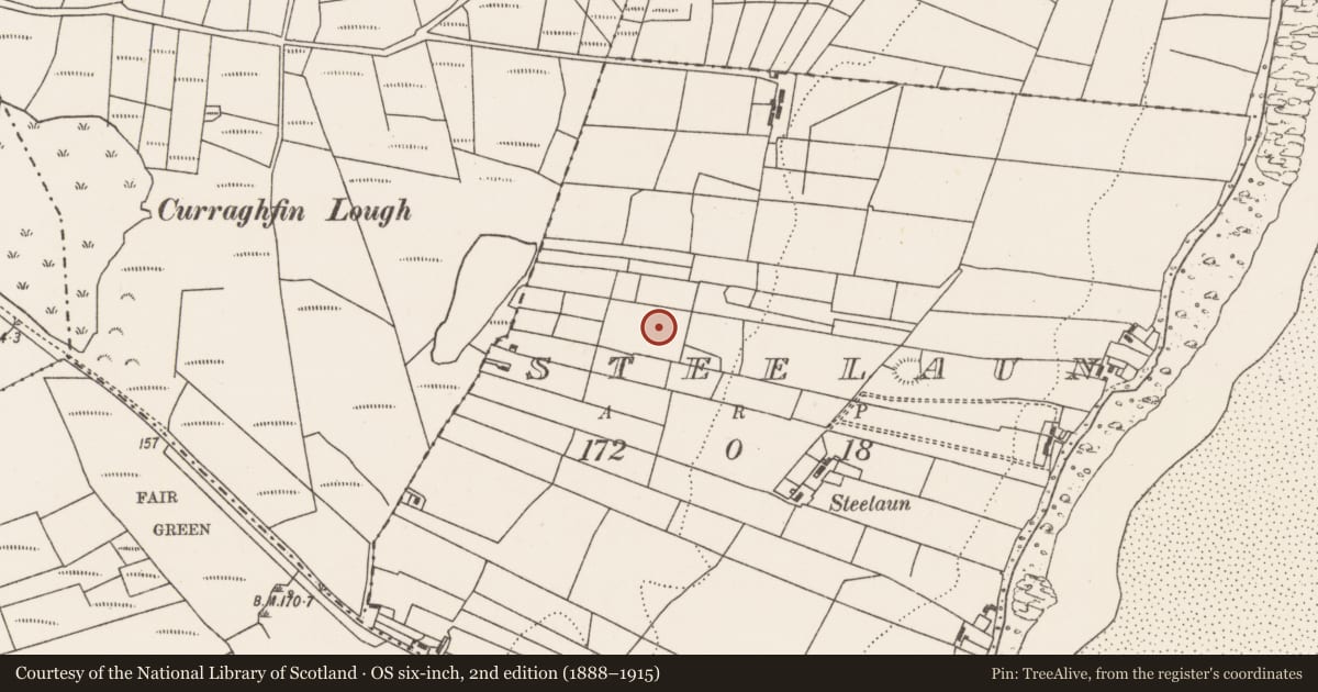 Ordnance Survey six-inch map, 2nd edition (1888–1915) covering the location of Burnt mound, Steelaun, County Mayo, with a pin at the register's coordinates