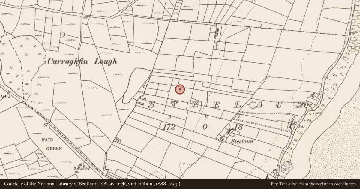 Ordnance Survey six-inch map, 2nd edition (1888–1915) covering the location of Burnt mound, Steelaun, County Mayo, with a pin at the register's coordinates