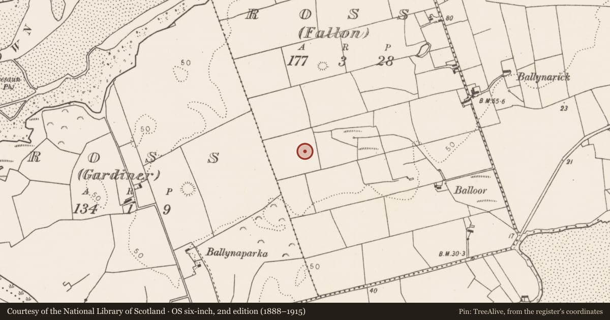 Ordnance Survey six-inch map, 2nd edition (1888–1915) covering the location of Barrow - mound barrow, Ross (Fallon), County Mayo, with a pin at the register's coordinates
