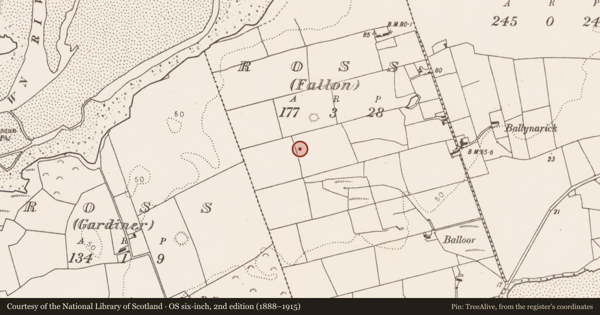 Ordnance Survey six-inch map, 2nd edition (1888–1915) covering the location of Mound, Ross (Fallon), County Mayo, with a pin at the register's coordinates