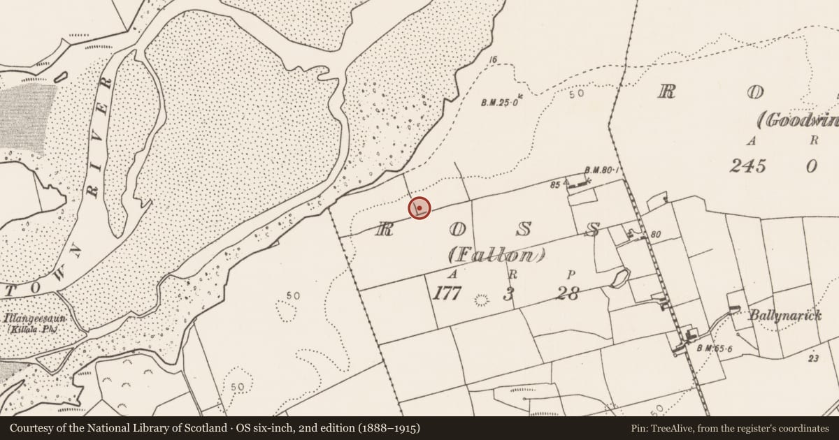 Ordnance Survey six-inch map, 2nd edition (1888–1915) covering the location of Mound, Ross (Fallon), County Mayo, with a pin at the register's coordinates
