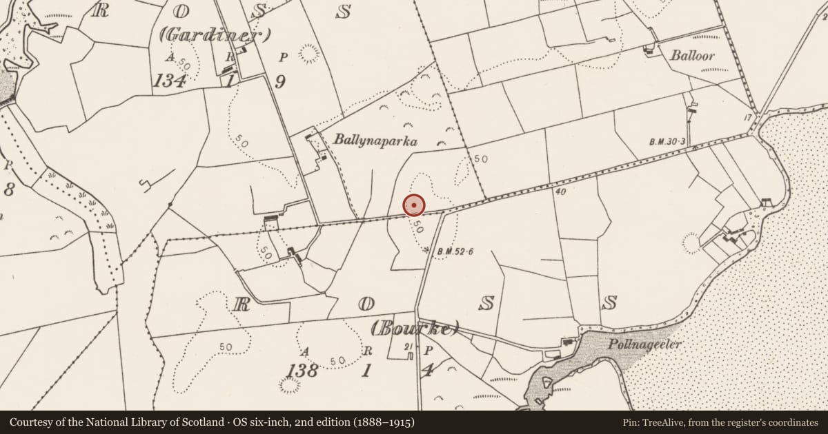 Ordnance Survey six-inch map, 2nd edition (1888–1915) covering the location of Building, Ross (Gardiner), County Mayo, with a pin at the register's coordinates